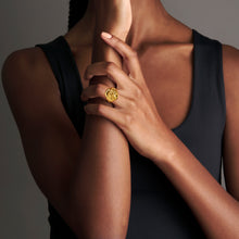 Load image into Gallery viewer, qvotb