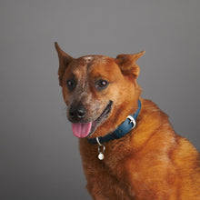 Load image into Gallery viewer, qvotb