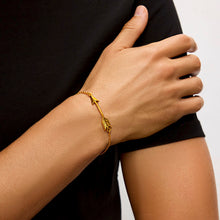 Load image into Gallery viewer, qvotb
