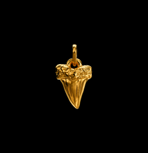 Load image into Gallery viewer, Nick Foulkes Shark Tooth Pendant
