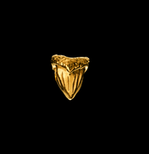 Load image into Gallery viewer, Nick Foulkes Shark Tooth Charm
