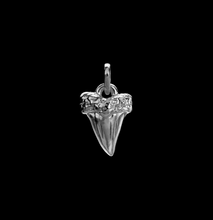 Load image into Gallery viewer, Nick Foulkes Shark Tooth Pendant
