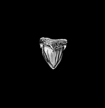 Load image into Gallery viewer, Nick Foulkes Shark Tooth Charm
