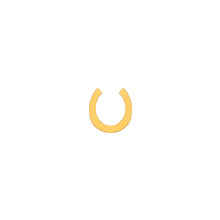 Load image into Gallery viewer, Lucky Horseshoe Pendant
