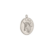 Load image into Gallery viewer, Liberté Medallion
